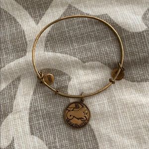 Capricorn Alex and Ani
